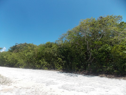 /listing-vacant-lot-13428.html from Coldwell Banker Bahamas Real Estate