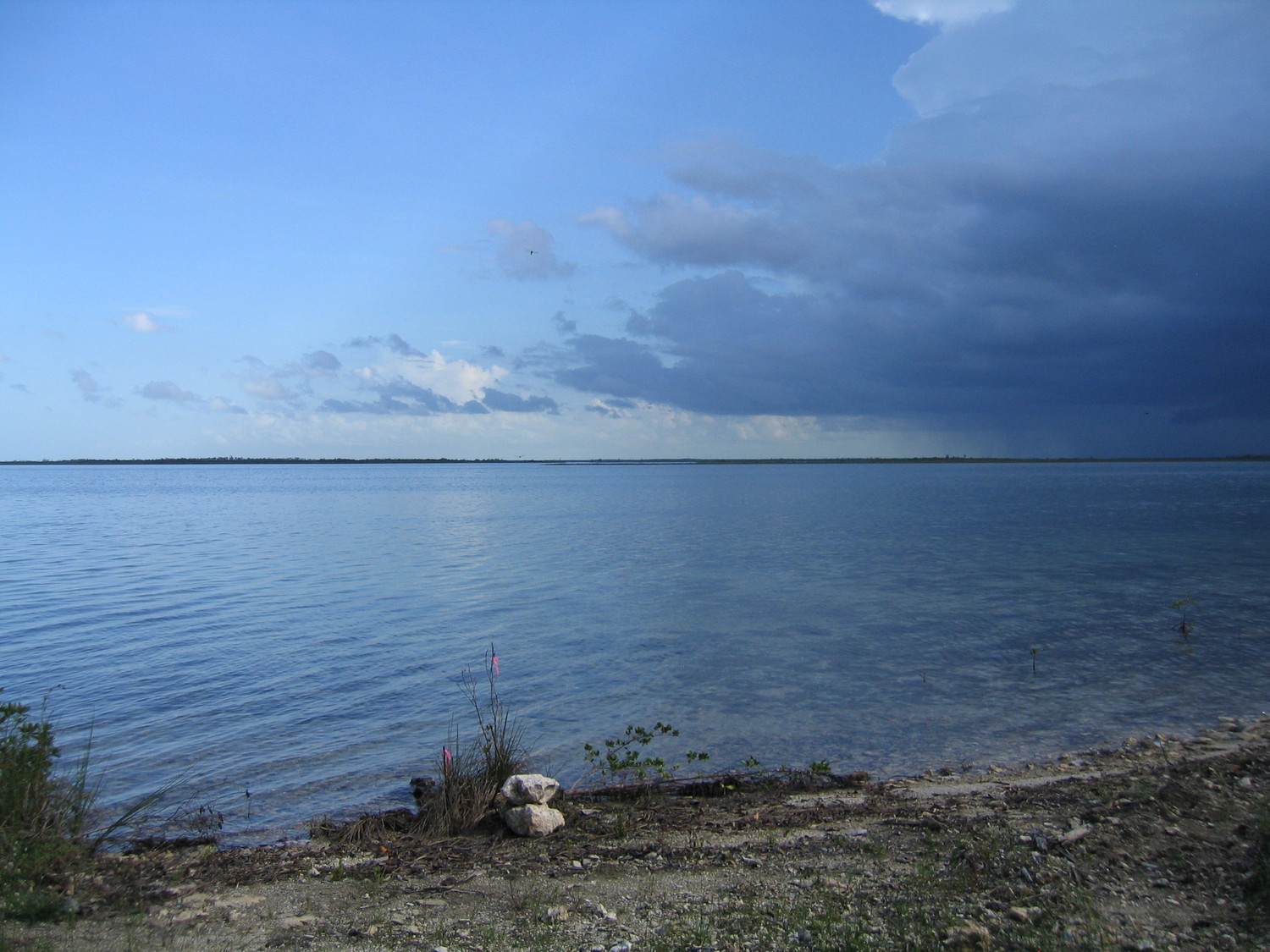 /listing-water-front-fresh-creek-andros-lot-6-14647.html from Coldwell Banker Bahamas Real Estate