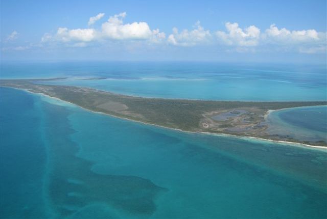 /listing-private-island-for-sale-great-sale-cay-island-has-a-protected-harbour-166.html from Coldwell Banker Bahamas Real Estate