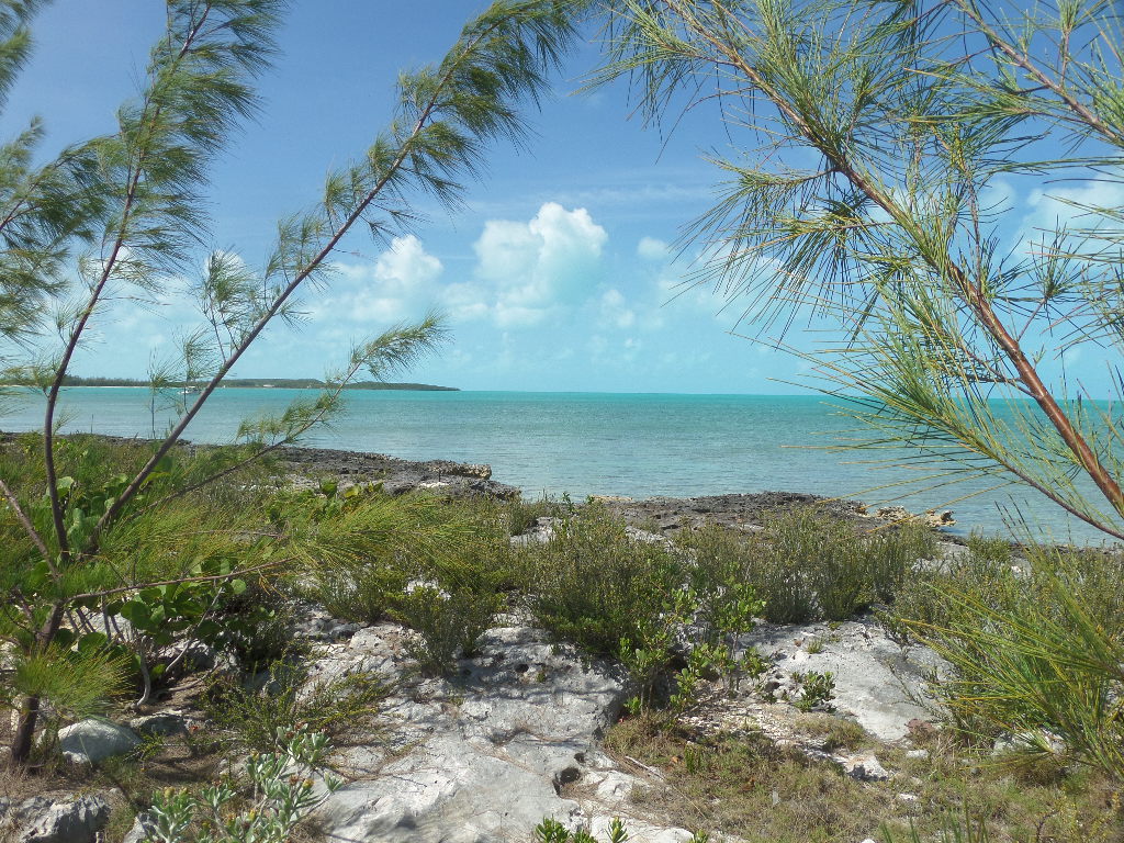 /listing-long-island-water-front-lot-for-sale-37885.html from Coldwell Banker Bahamas Real Estate
