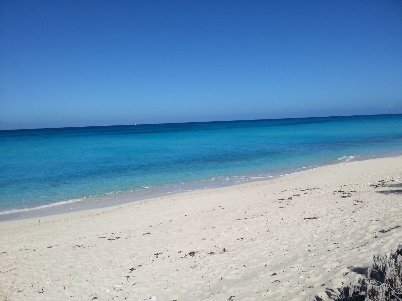 /listing-south-bimini-lots-for-sale-47523.html from Coldwell Banker Bahamas Real Estate