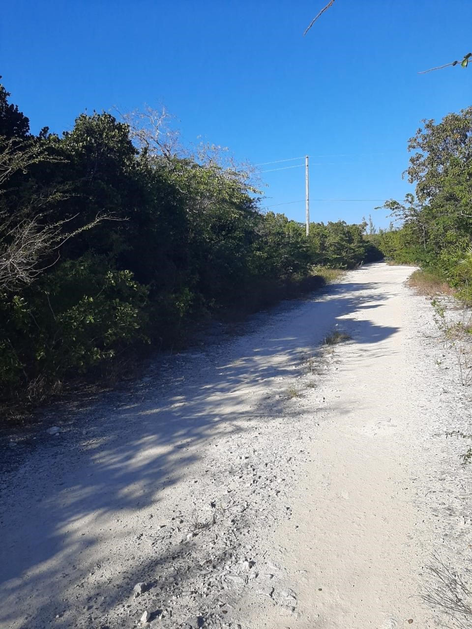 /listing-exuma-vacant-lot-for-sale-70858.html from Coldwell Banker Bahamas Real Estate