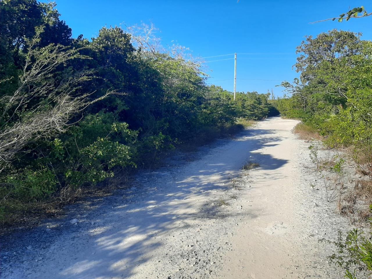 /listing-exuma-vacant-lot-for-sale-70859.html from Coldwell Banker Bahamas Real Estate