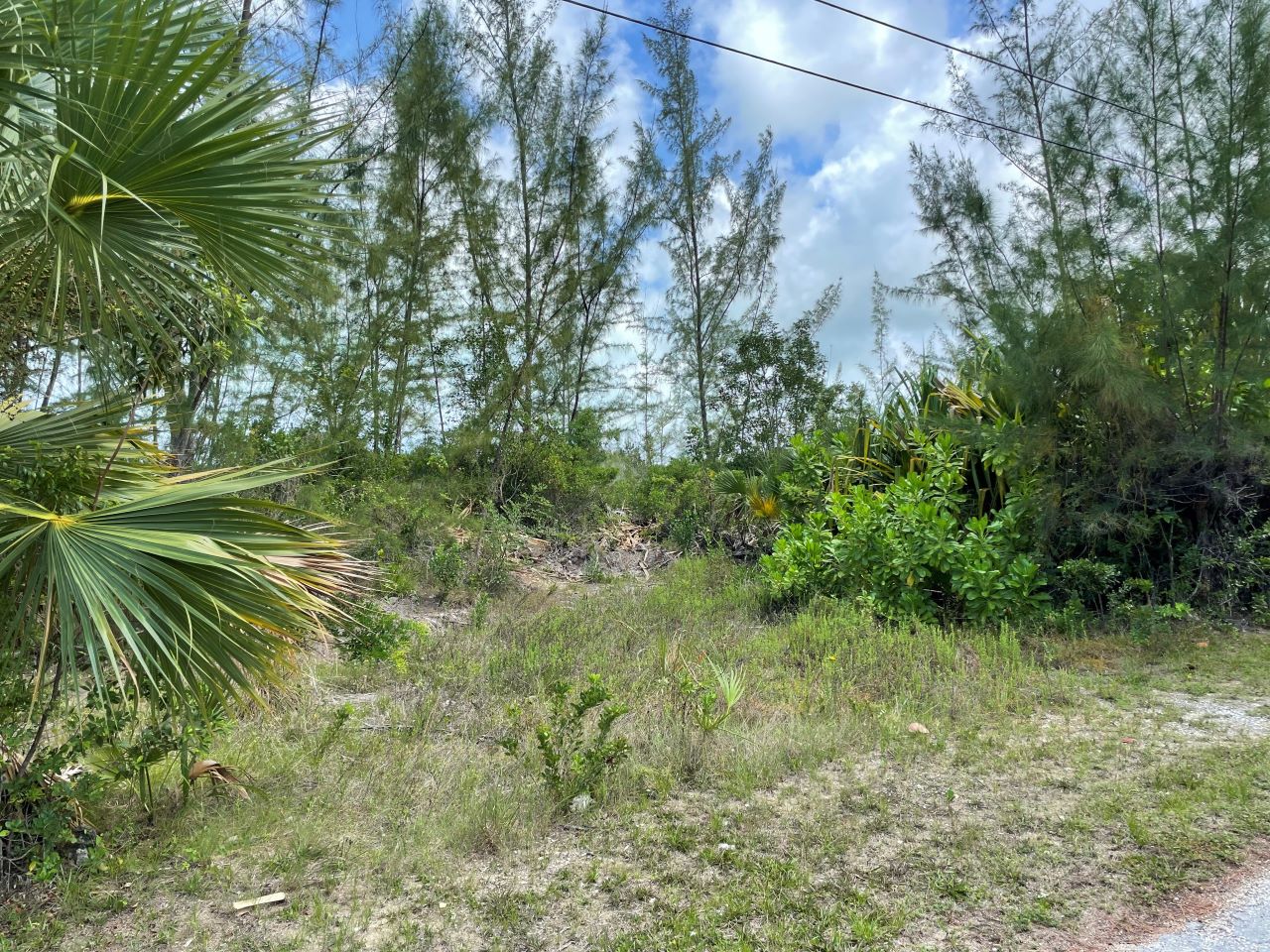 /listing-north-eleuthera-vacant-lot-for-sale-71039.html from Coldwell Banker Bahamas Real Estate