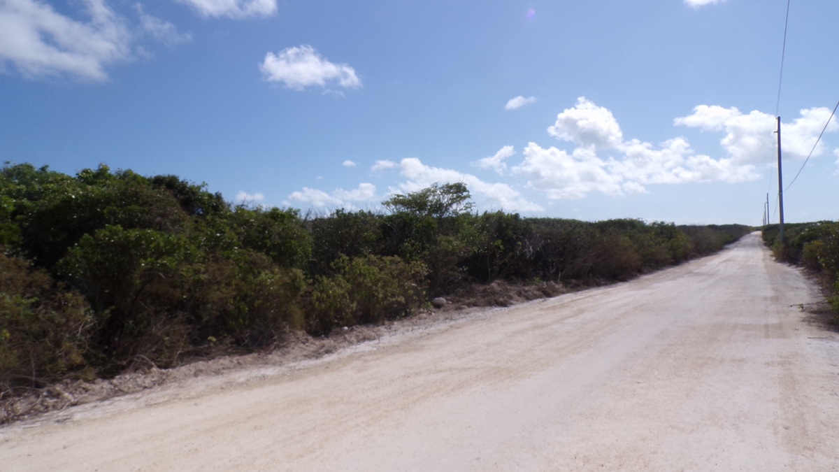 /listing-long-island-acreage-74015.html from Coldwell Banker Bahamas Real Estate