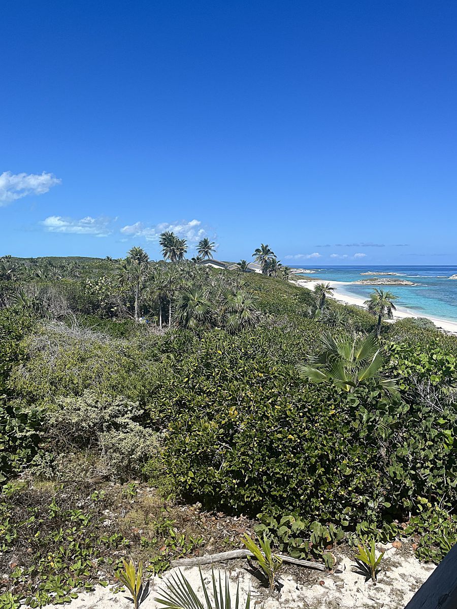 /listing-beach-front-lot-in-long-island-75022.html from Coldwell Banker Bahamas Real Estate