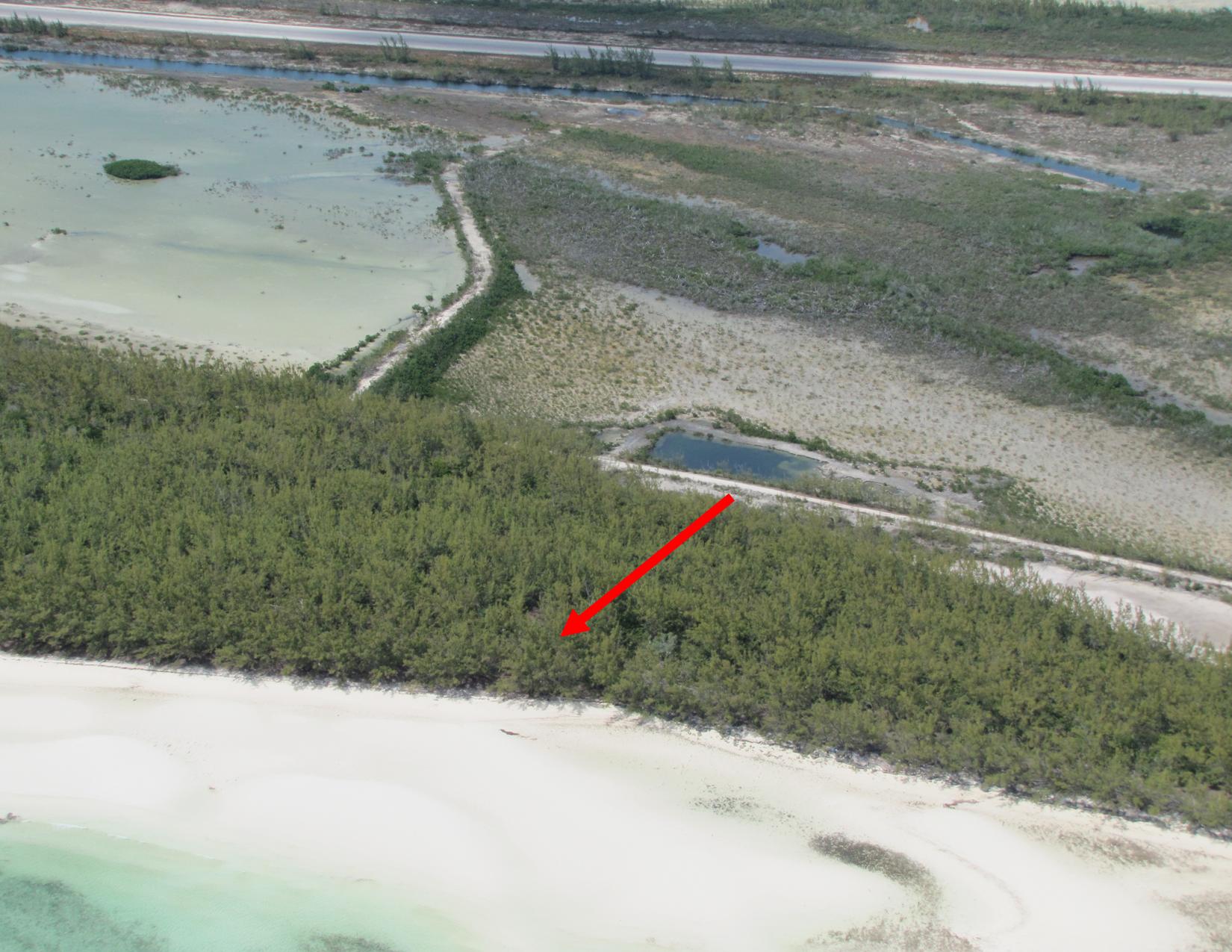 /listing-chub-cay-acreage-9790.html from Coldwell Banker Bahamas Real Estate