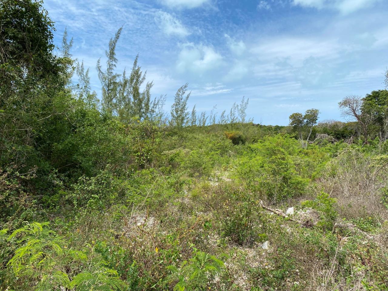 Bahamas Real Estate on Eleuthera For Sale - ID 66304