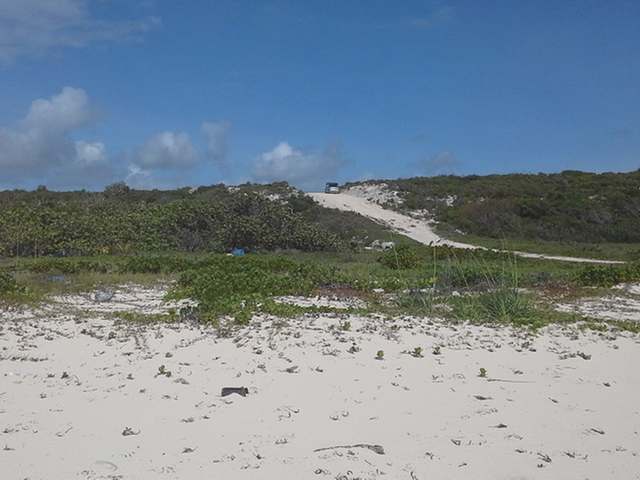 /listing-lots-acreage-in-acklins-73882.html from Coldwell Banker Bahamas Real Estate