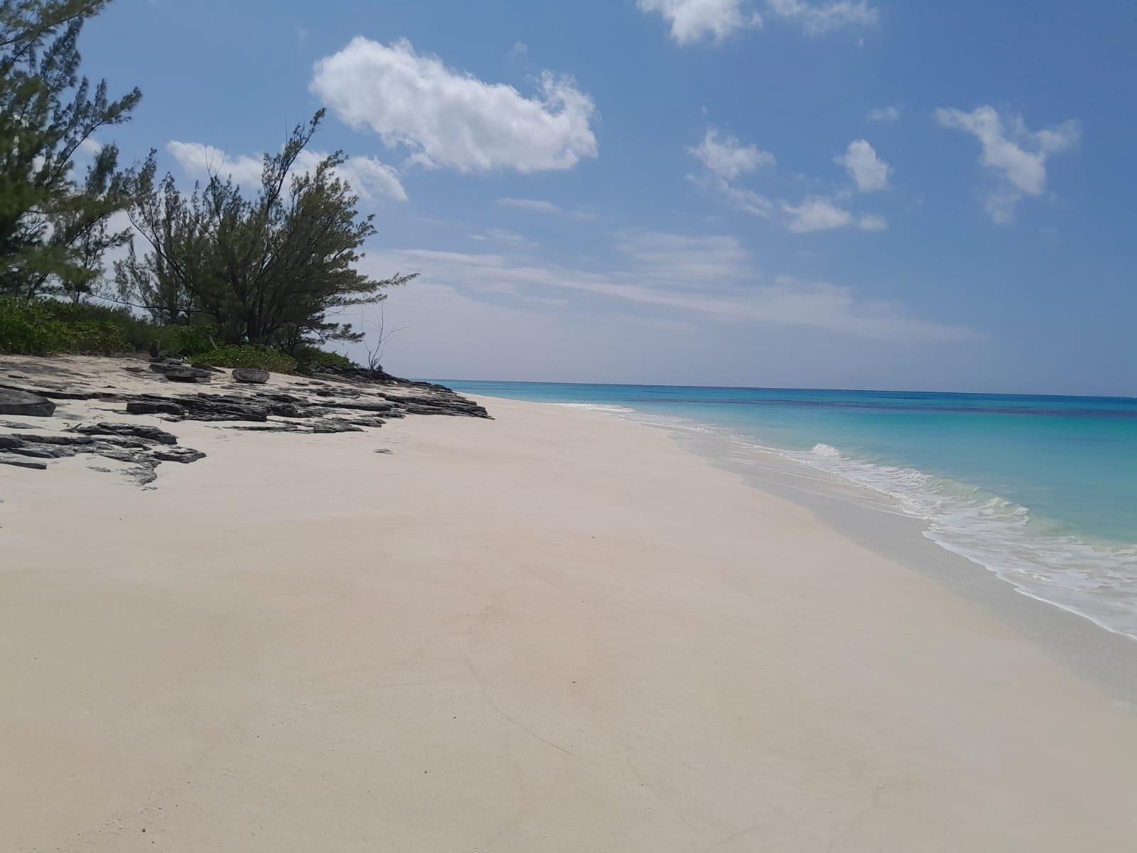 /listing-lots-acreage-in-farmers-hill-72517.html from Coldwell Banker Bahamas Real Estate