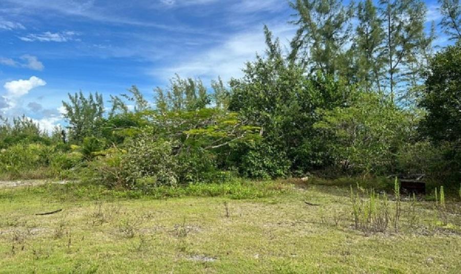 /listing-lots-acreage-in-love-hill-74308.html from Coldwell Banker Bahamas Real Estate