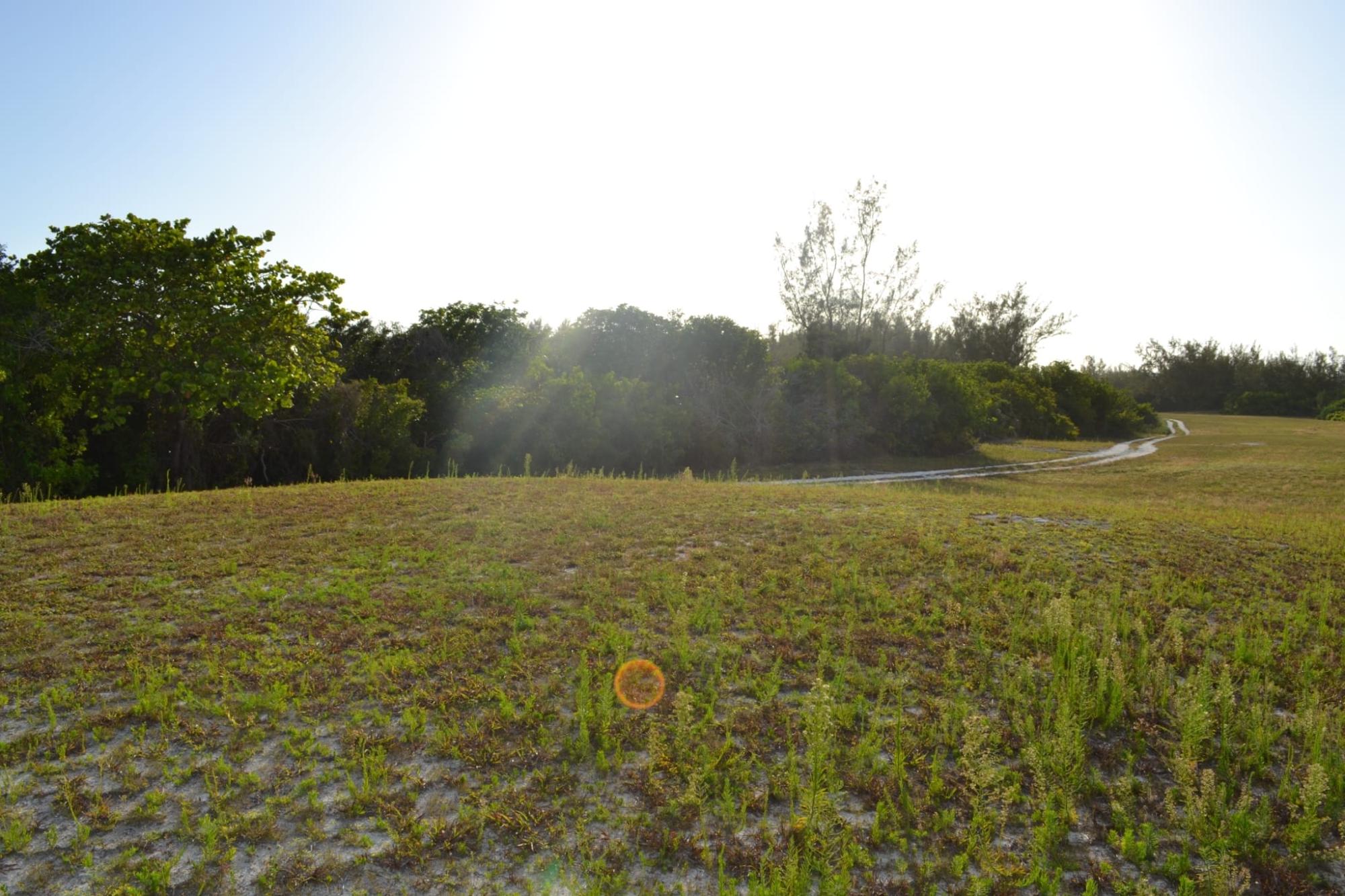 /listing-lots-acreage-in-other-andros-74866.html from Coldwell Banker Bahamas Real Estate