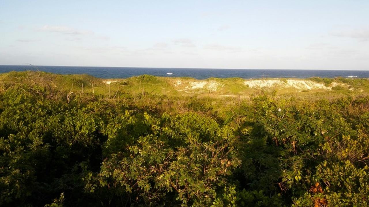 /listing-lots-acreage-in-millers-74923.html from Coldwell Banker Bahamas Real Estate