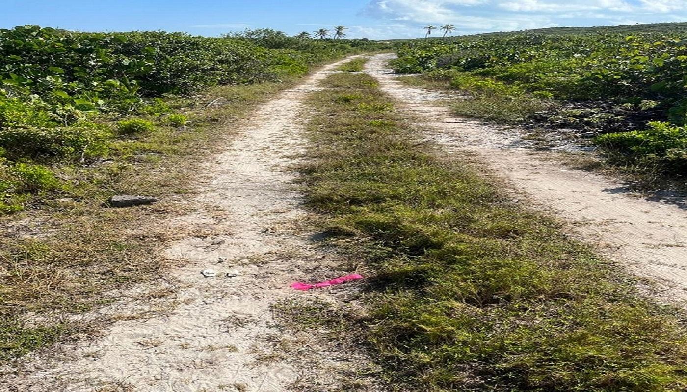 /listing-lots-acreage-in-millers-74974.html from Coldwell Banker Bahamas Real Estate